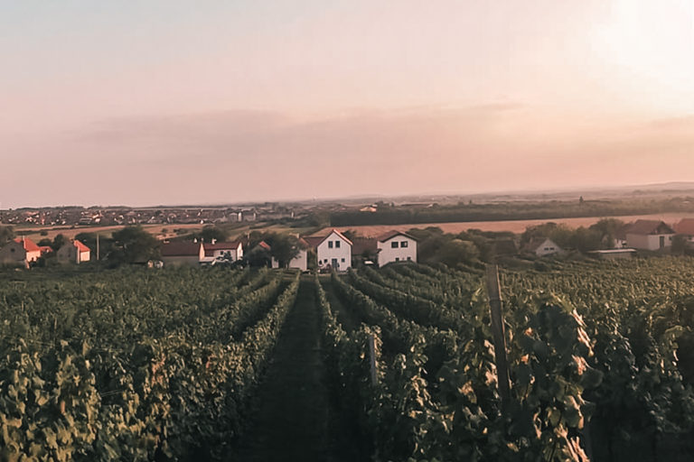 Velké Bílovice Pod Vinicí